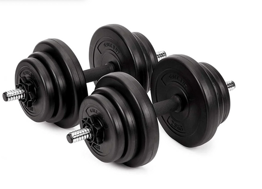 Core Power Dumbbells 20KG